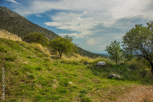 spring colorful picturesque landscape in park and hill country side environment 