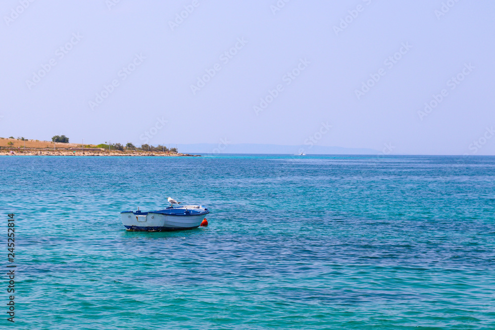 Fototapeta premium Seagull on boat