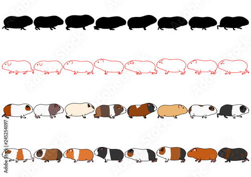 Guinea pigs in a row set