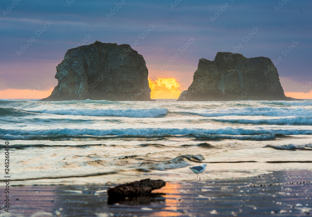 Rockaway Beach Oregon at Sunset by Skip Weeks 