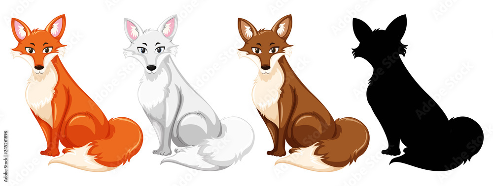 Set of different fox