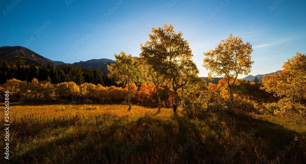 Autumn in Utah by Skip Weeks