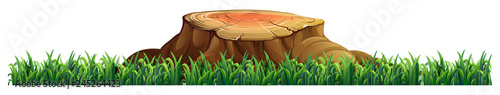 Isolated tree stump on white background