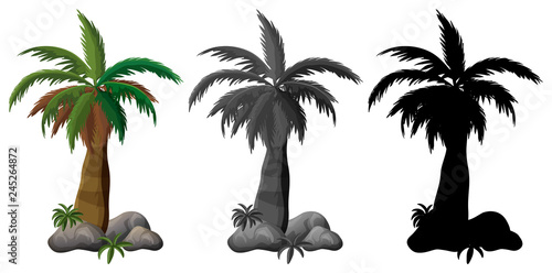 Set of palm tree design