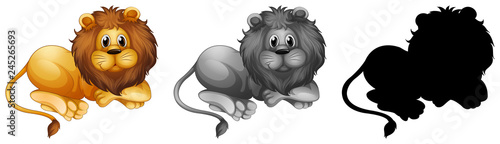 Set of male lion character