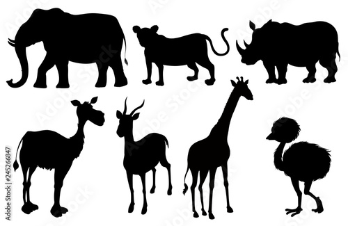 Fototapeta Naklejka Na Ścianę i Meble -  Set of silhouette exotic animals