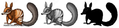 Set of numbat character photo