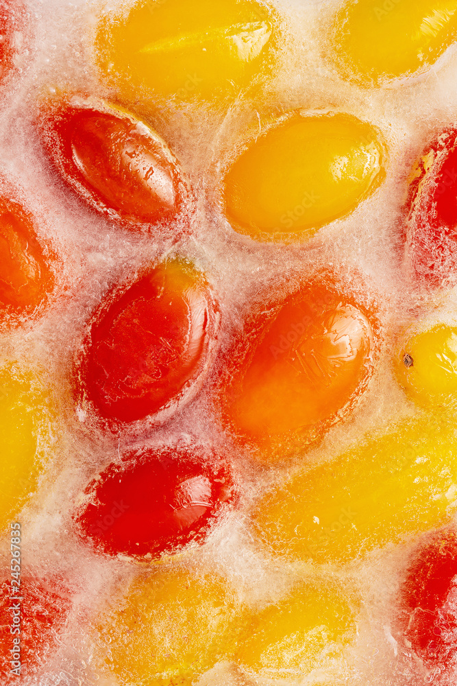 Fresh red and yellow tomatoes frozen in cube of ice on white background. Studio shot. Fresh red and yellow tomatoes frozen in cube of ice on white background. Studio shot.
