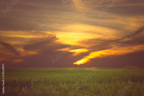 meadows at sunset at countryside nature background
