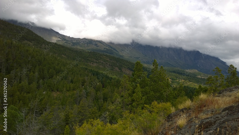 Naklejka premium Patagonia.