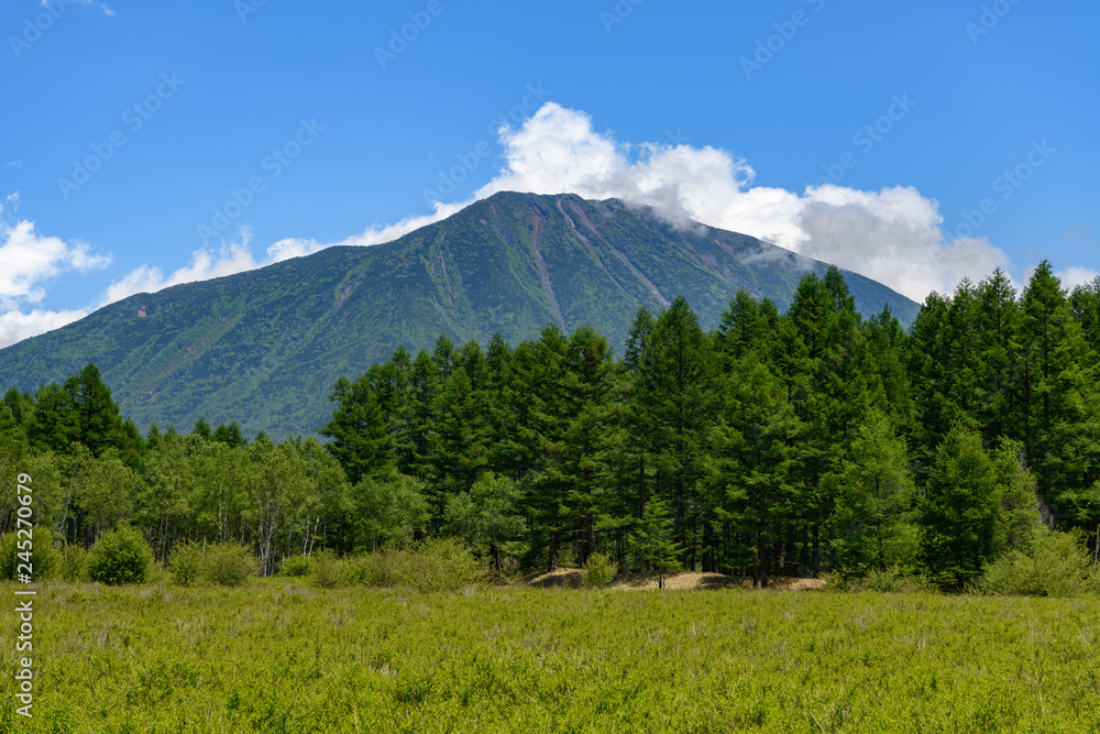 Fototapeta premium Odashirogahara i Mt.