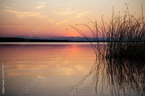 Reflections of Reeds on Lake During Sunset