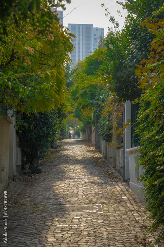 Paris  France - 11 04 2018  Neighborhood of Villette. Rhine and Danube district. A small rising pavement street