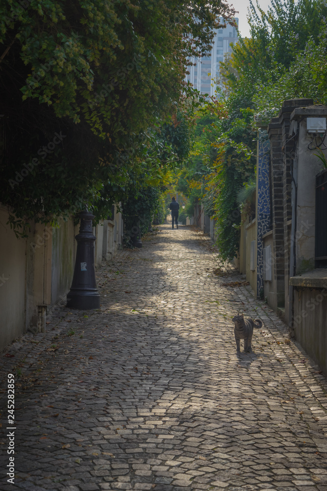 Paris, France - 11 04 2018: Neighborhood of Villette. Rhine and Danube district. A small rising pavement street. A cat and a woman