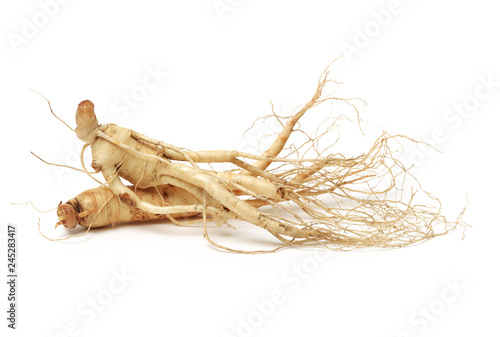 Cuadro en lienzo ginseng isolated on white background