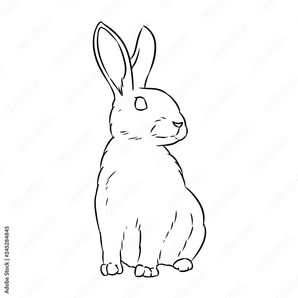 Obraz premium Rabbit cute doodle hand drawn lineart sketch