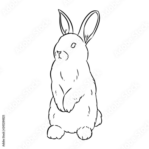 Rabbit sketch. Hand drawn cute rabbit doodle