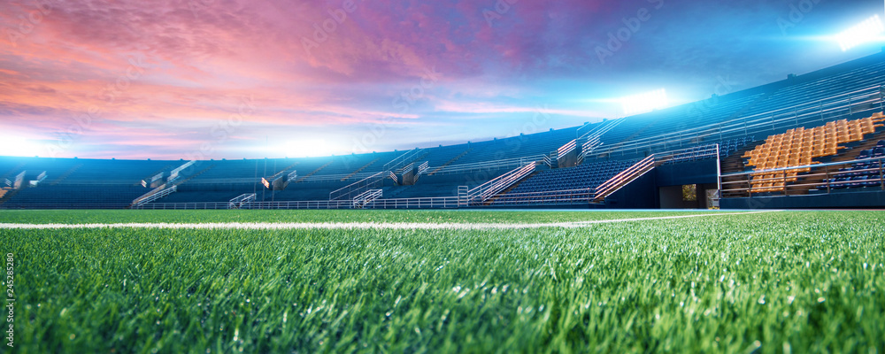 custom made wallpaper toronto digitalphoto of stadium before the match.
