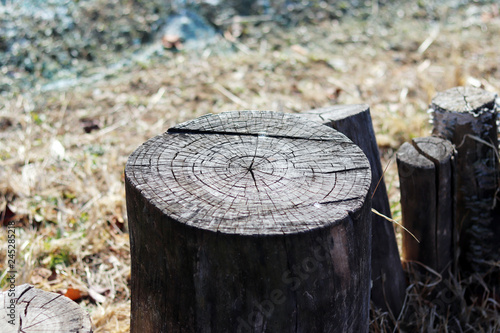 A hedge made of wood.