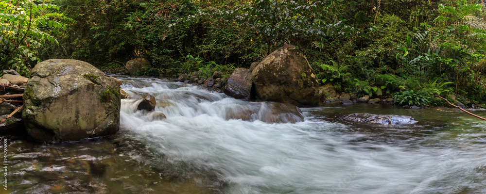 Fototapeta premium Nature landscape view of Deep forest clean river (image slightly long expo and motion blur)