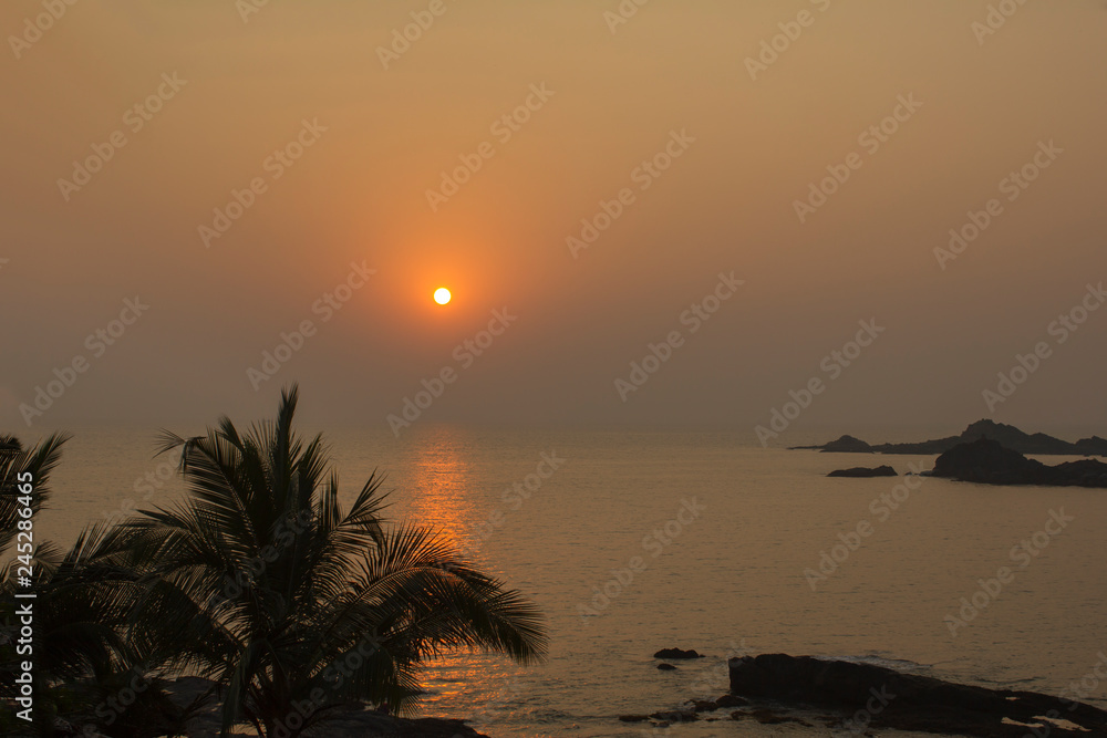sun way in the sea against the dark silhouette of a palm tree and rocks under a gray pink sunset sky