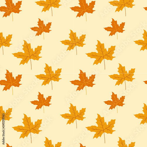 Seamless pattern of autumn leaves. Various veined leaves on white background. 