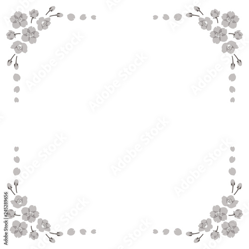 monochrome cherry blossom square frame