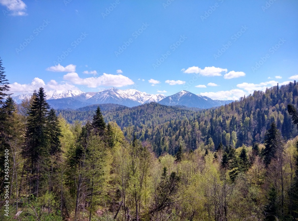 spring in the mountains