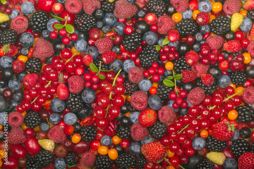 set of berries background. top view