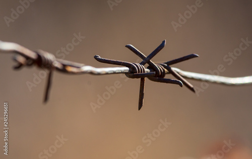 Barbed wire on nature as a background