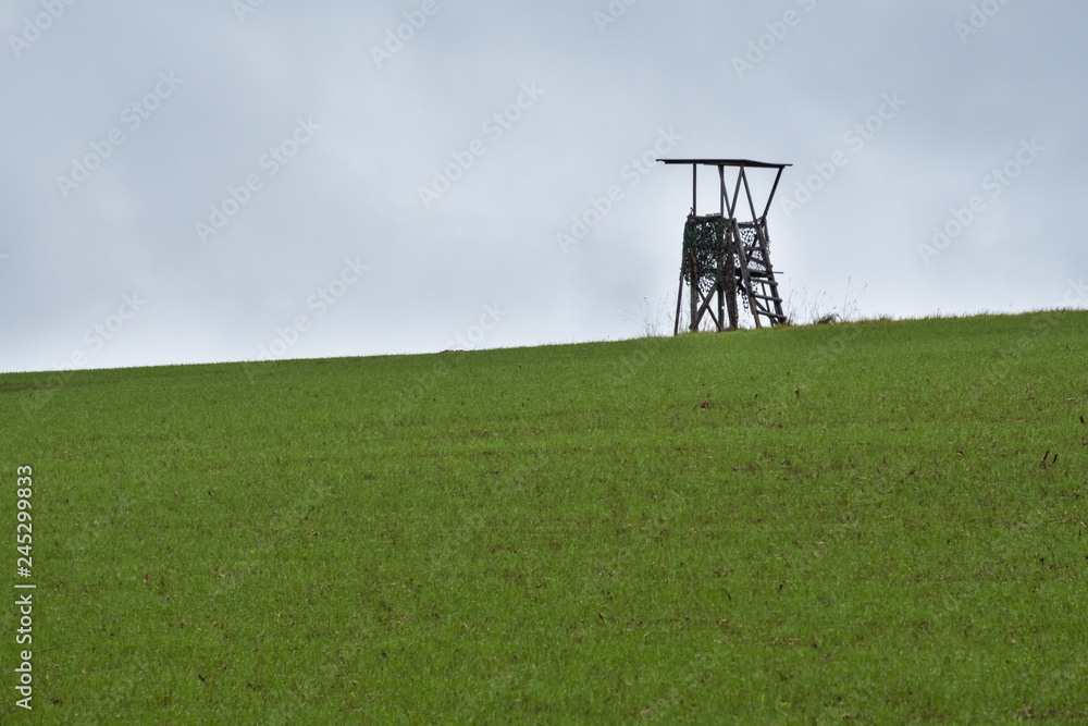 Hunting Tower on a Field with a Grey Sky