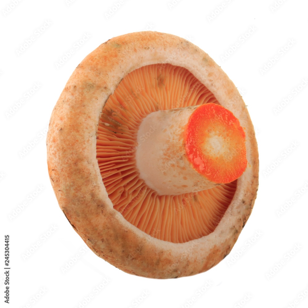 saffron milk cup isolated on white background saffron milk cup isolated on white background