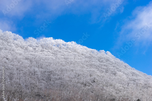 駒ヶ岳