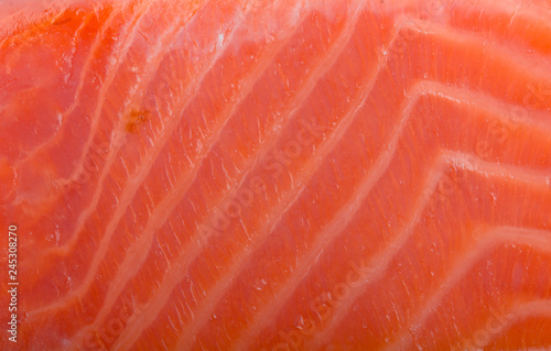 fresh salmon slice background photo