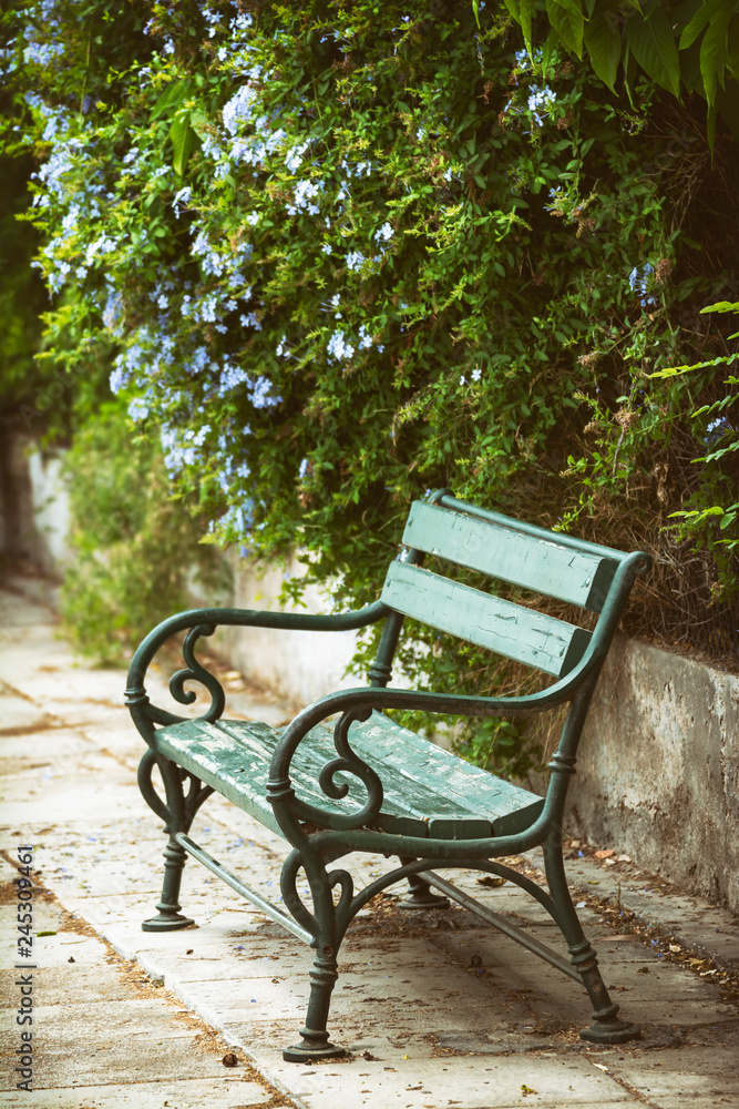 Empty Wooden Bench In A Park