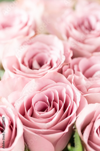 Pink roses in glass vases. Bunch pastel color. the concept of a florist in a flower shop. Wallpaper.