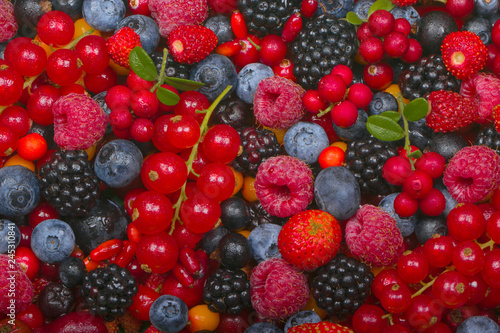 various berries background