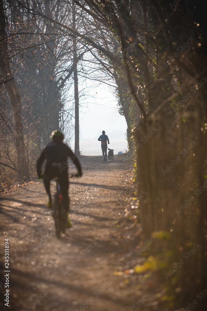 Fototapeta premium Sport in a wood