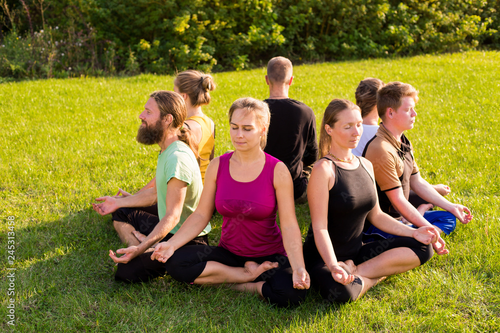 A group of people in a lotus pose on a green lawn in the park A group of people in a lotus pose on a green lawn in the park