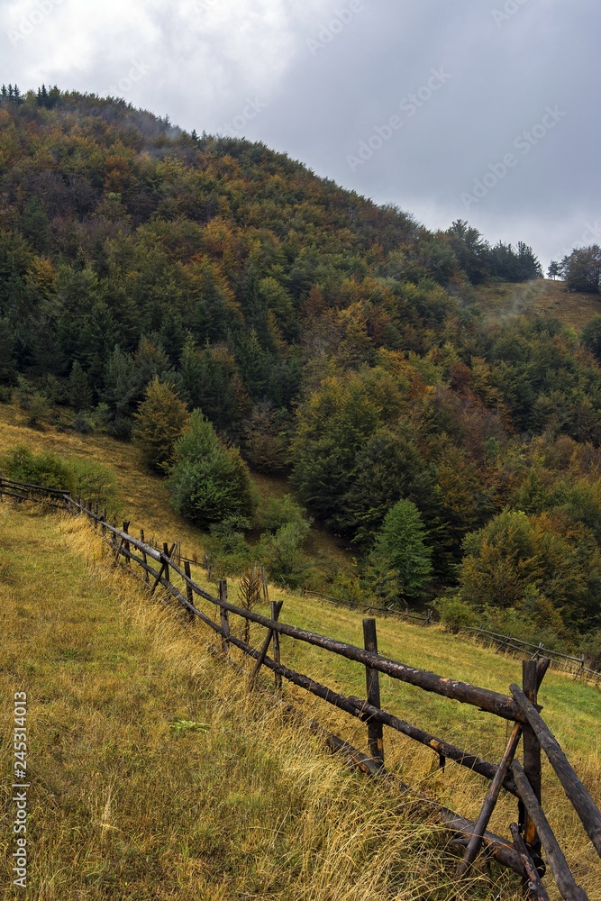 autumn in rodopa mountain, bulgaria