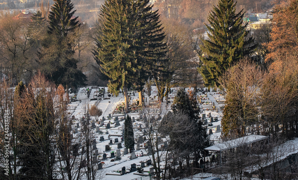 city cemetery in the snowy morning