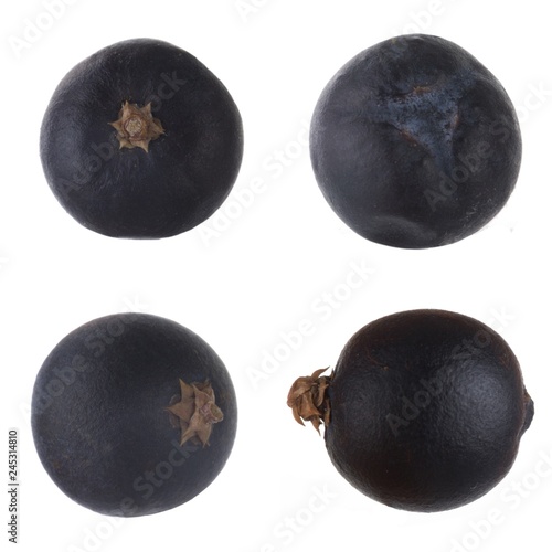 set of black juniper berries isolated on white background