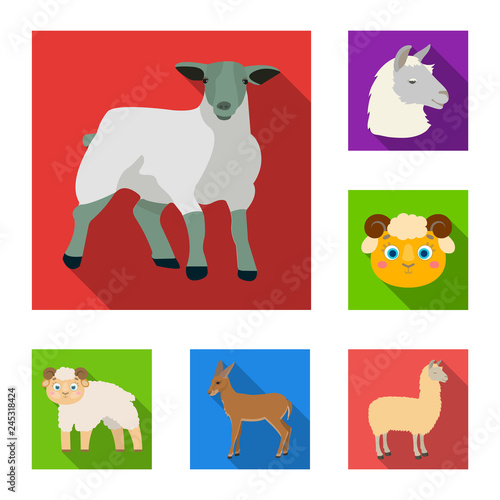 Isolated object of sheep and goat symbol. Collection of sheep and happy stock symbol for web.