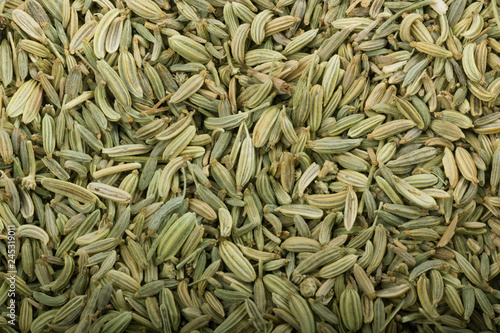 fennel seeds background