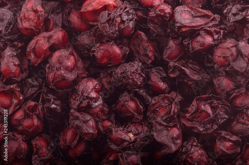 Wallpaper Mural red Schisandra chinensis background Torontodigital.ca