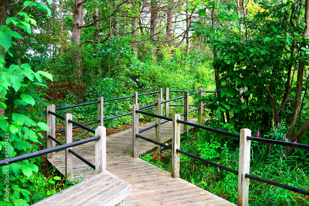 Wooden path in a park in State of Michigan near the lake. Boardwalk