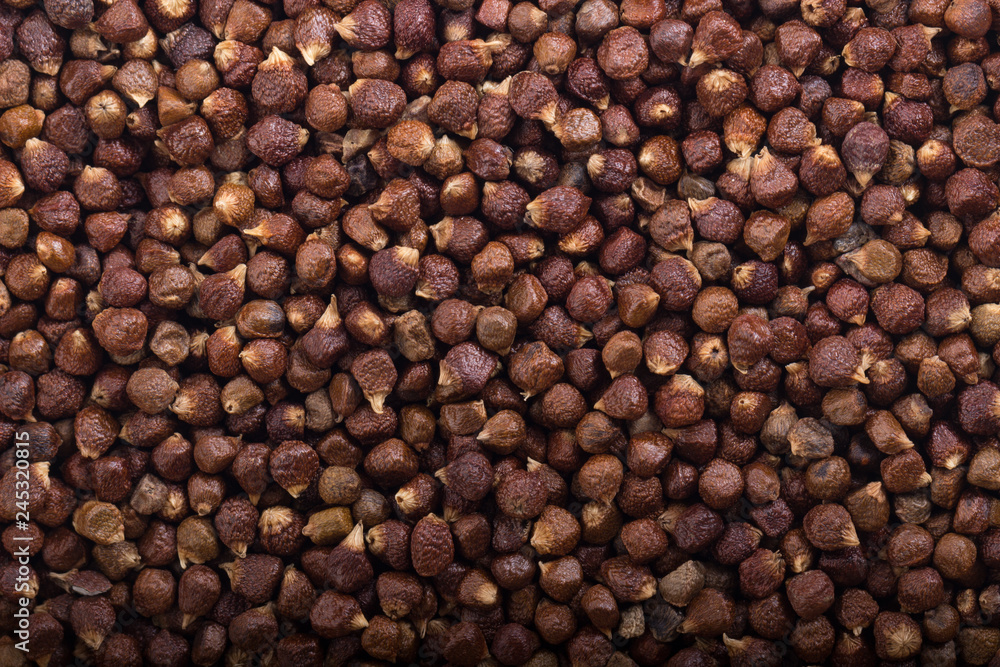 Grains of paradise background Grains of paradise background