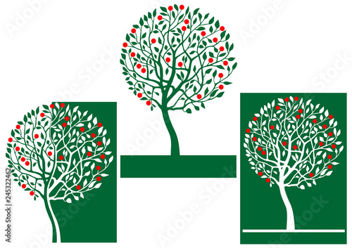apple tree illustration