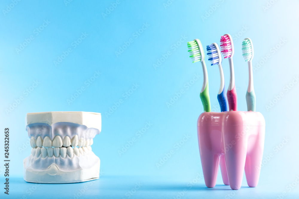 Toothshaped container with colorful toothbrushes. Toothbrushes and an