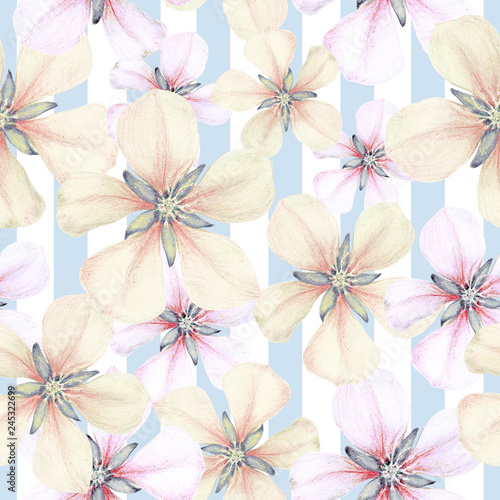 Seamless pattern of hand drawn apple flowers on stripes